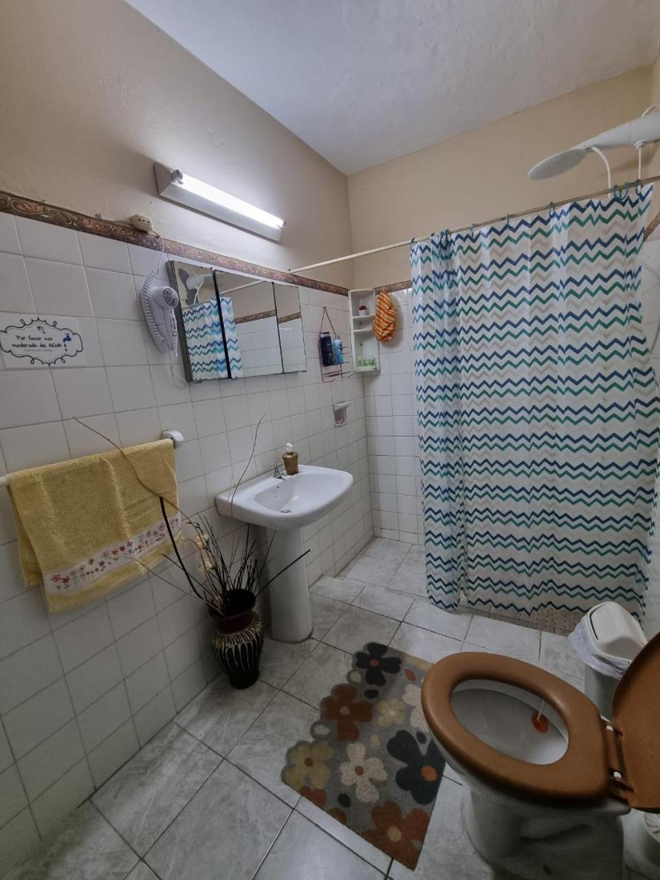 Mi Lugar Vintage Hostal - Calor De Hogar! Asuncion Dış mekan fotoğraf